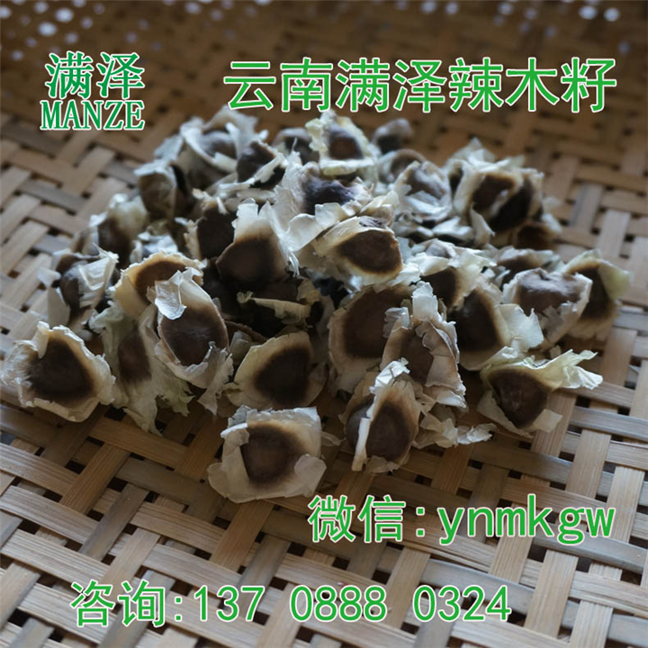 云南满泽辣木籽图片，辣木籽介绍 
