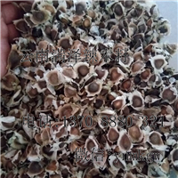 云南辣木籽哪里有卖，昆明辣木籽批发 