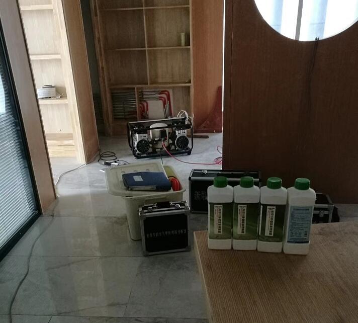 新疆除甲醛公司