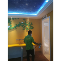 乌鲁木齐甲醛治理吸甲醛的植物