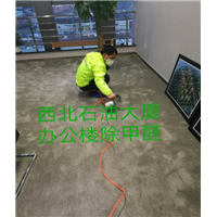 西北石油大厦办公室除甲醛