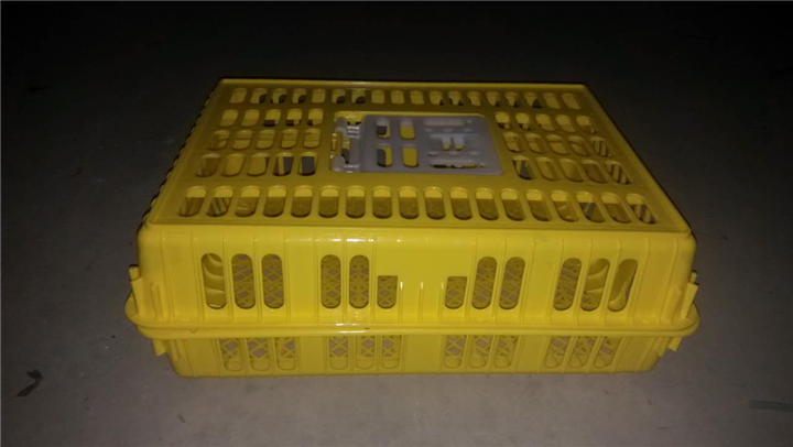 塑胶鸡笼供应 