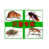 自贡杀虫公司