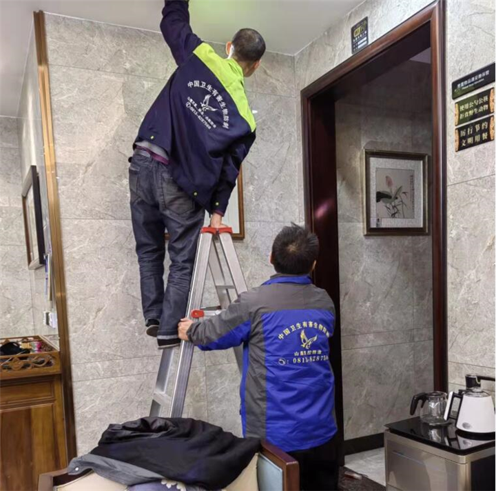 自贡灭鼠勘察