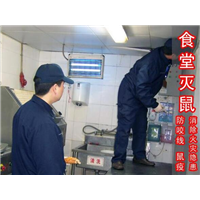 自贡灭鼠山鹰