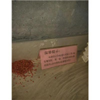 自贡灭鼠公司