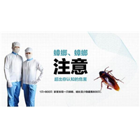 自贡灭蟑螂