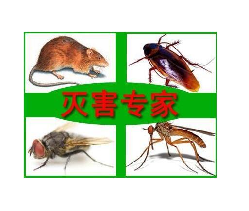 自贡杀虫公司