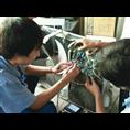 大同小郑家政0352-3333333大同管道疏通 