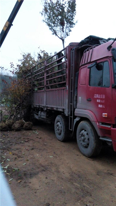 装车