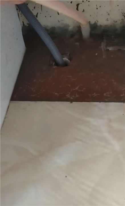 黄骅上门通厕所马桶蹲坑怎么收费