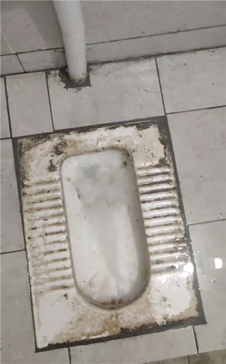 黄骅办公室厕所疏通要多少钱