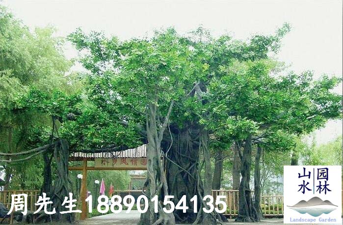 仿真榕树