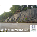 公路假山1