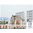 学校假山0