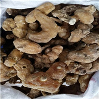 湖北黄精|湖北黄精种植基地|湖北黄精批发 