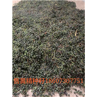 黄精种子