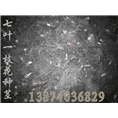 湖南重楼种茎