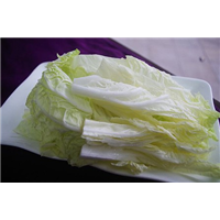 襄阳大白菜批发 