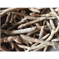 广东牛大力批发商5