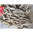 广东牛大力4