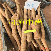 广州收购牛大力