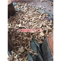 天然牛大力加工厂，生产牛大力干品
