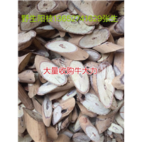 天然牛大力加工厂，生产牛大力干品
