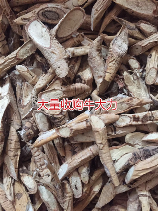 天然牛大力加工厂，生产牛大力干品