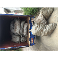广东土茯苓价格%江门土茯苓批发商9