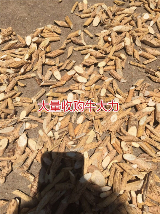 天然牛大力加工厂，生产牛大力干品