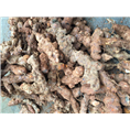 广东土茯苓种植基地~土茯苓的市场价格6