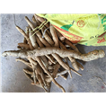 广东江门牛大力苗%江门牛大力薯#8