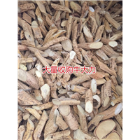 天然牛大力加工厂，生产牛大力干品