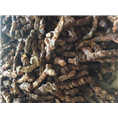 广东土茯苓种植基地~土茯苓的市场价格3