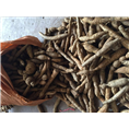 广东牛大力薯 