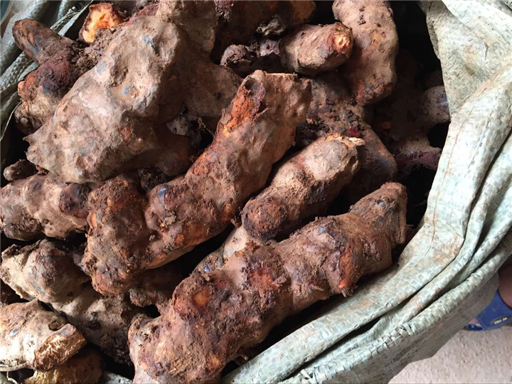 广东土茯苓价格%江门土茯苓批发商7