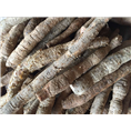 广东江门牛大力苗%江门牛大力薯#2