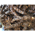 广东土茯苓价格%江门土茯苓批发商6