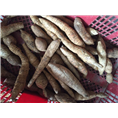 广东牛大力薯3 