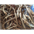 广东牛大力&广东牛大力批发商8