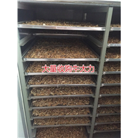 天然牛大力加工厂，生产牛大力干品