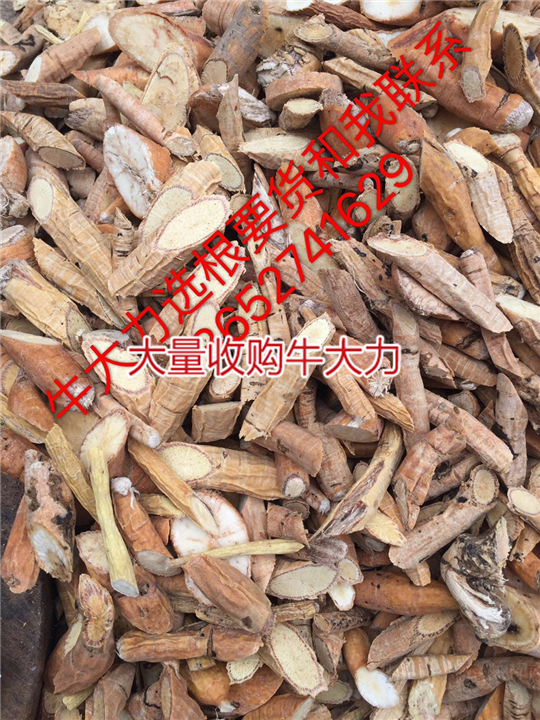 天然牛大力加工厂，生产牛大力干品