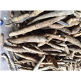 广东牛大力7 