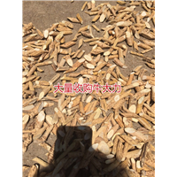 天然牛大力加工厂，生产牛大力干品