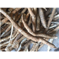 广东牛大力9