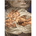 广东土茯苓供应商#广东哪里有土茯苓？4