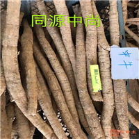 广东哪里有野生牛大力