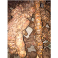 广东土茯苓价格%江门土茯苓批发商8