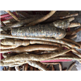 广东牛大力薯1 